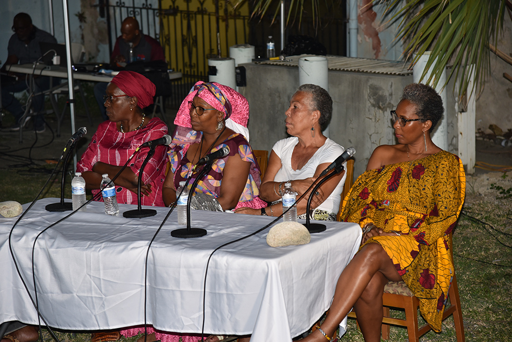 St. Croix Screening Panelists